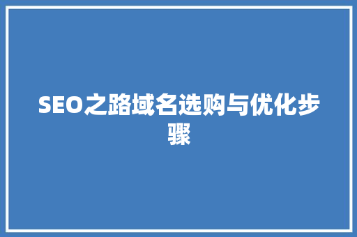 SEO之路域名选购与优化步骤