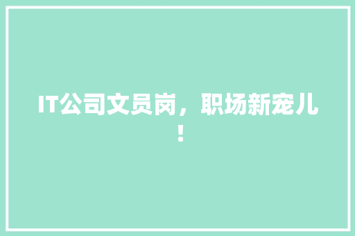 IT公司文员岗，职场新宠儿！