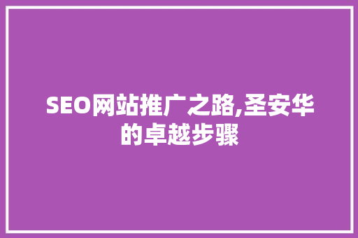 SEO网站推广之路,圣安华的卓越步骤