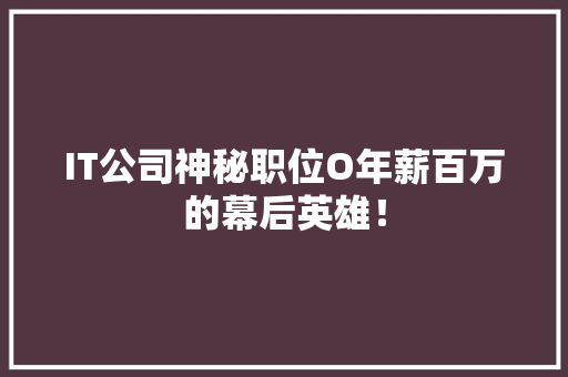 IT公司神秘职位O年薪百万的幕后英雄！