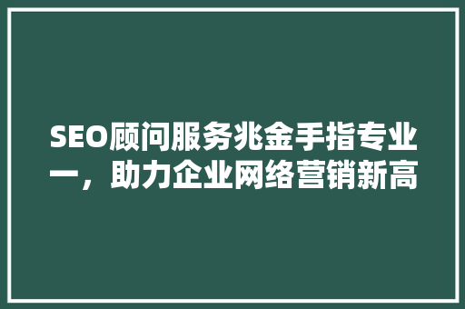 SEO顾问服务兆金手指专业一，助力企业网络营销新高度