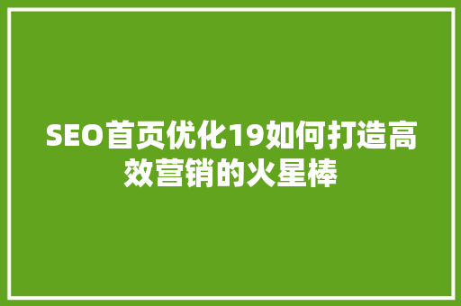 SEO首页优化19如何打造高效营销的火星棒