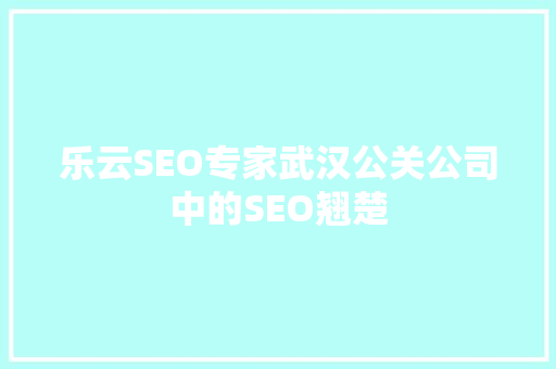 乐云SEO专家武汉公关公司中的SEO翘楚