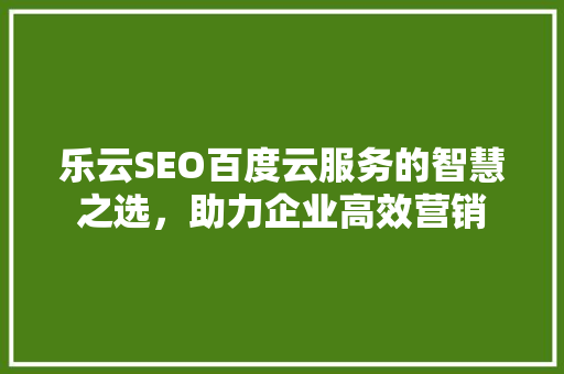乐云SEO百度云服务的智慧之选，助力企业高效营销