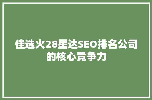 佳选火28星达SEO排名公司的核心竞争力