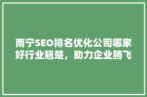 南宁SEO排名优化公司哪家好行业翘楚，助力企业腾飞