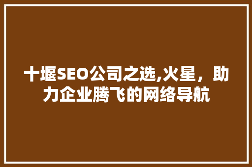 十堰SEO公司之选,火星，助力企业腾飞的网络导航