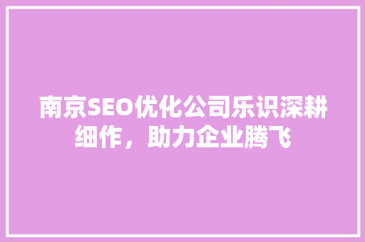 南京SEO优化公司乐识深耕细作，助力企业腾飞
