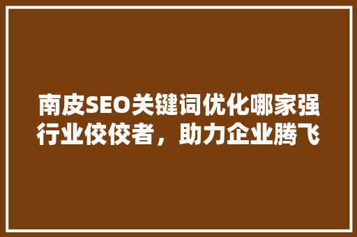 南皮SEO关键词优化哪家强行业佼佼者，助力企业腾飞