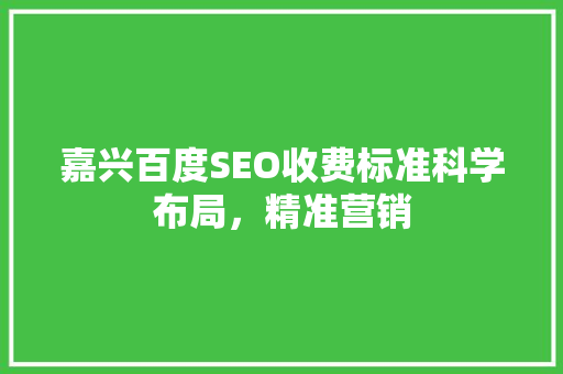 嘉兴百度SEO收费标准科学布局，精准营销
