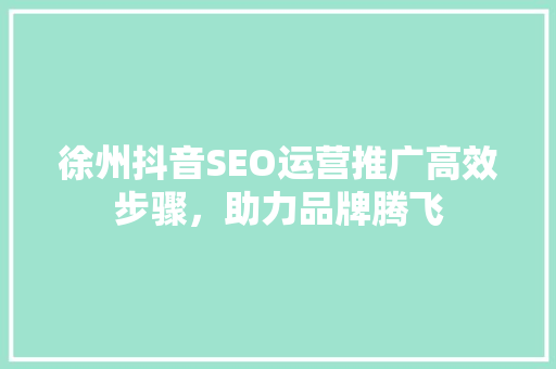 徐州抖音SEO运营推广高效步骤，助力品牌腾飞
