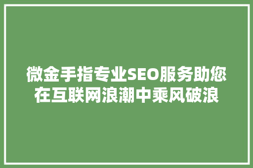 微金手指专业SEO服务助您在互联网浪潮中乘风破浪