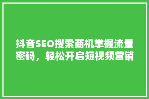 抖音SEO搜索商机掌握流量密码，轻松开启短视频营销新篇章