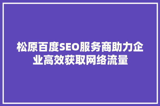 松原百度SEO服务商助力企业高效获取网络流量