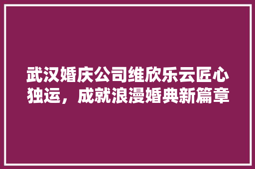 武汉婚庆公司维欣乐云匠心独运，成就浪漫婚典新篇章