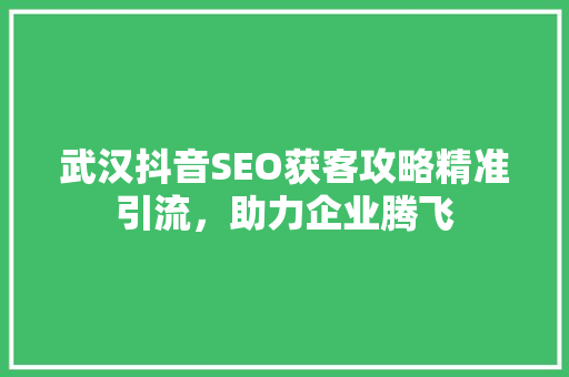 武汉抖音SEO获客攻略精准引流，助力企业腾飞