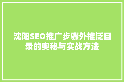 沈阳SEO推广步骤外推泛目录的奥秘与实战方法