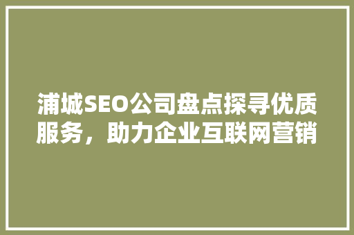 浦城SEO公司盘点探寻优质服务，助力企业互联网营销新篇章