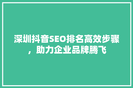 深圳抖音SEO排名高效步骤，助力企业品牌腾飞