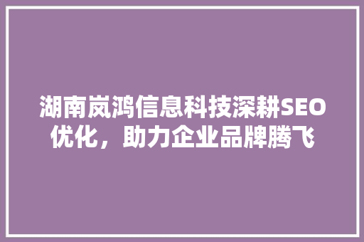 湖南岚鸿信息科技深耕SEO优化，助力企业品牌腾飞