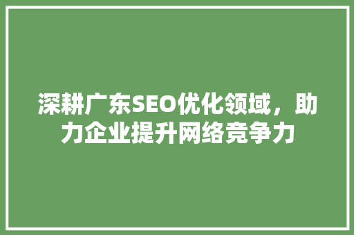 深耕广东SEO优化领域，助力企业提升网络竞争力