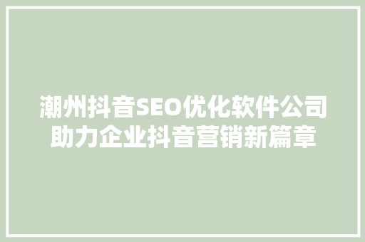 潮州抖音SEO优化软件公司助力企业抖音营销新篇章
