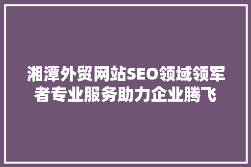 湘潭外贸网站SEO领域领军者专业服务助力企业腾飞