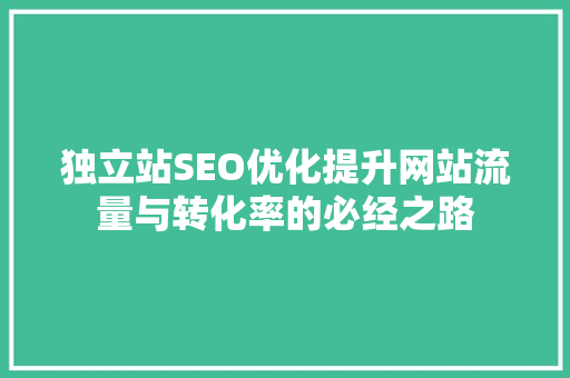 独立站SEO优化提升网站流量与转化率的必经之路