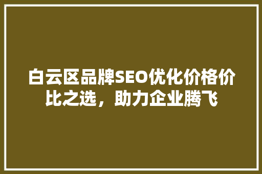 白云区品牌SEO优化价格价比之选，助力企业腾飞