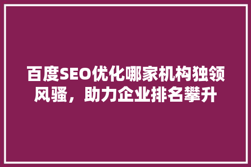 百度SEO优化哪家机构独领风骚，助力企业排名攀升
