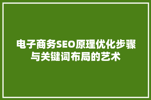电子商务SEO原理优化步骤与关键词布局的艺术
