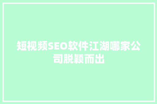 短视频SEO软件江湖哪家公司脱颖而出