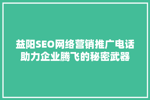 益阳SEO网络营销推广电话助力企业腾飞的秘密武器