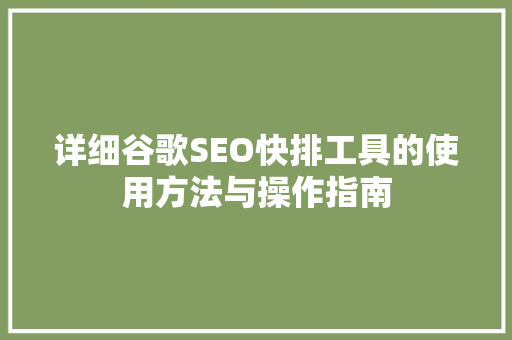 详细谷歌SEO快排工具的使用方法与操作指南
