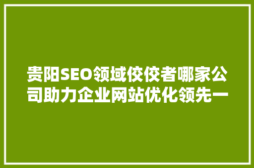 贵阳SEO领域佼佼者哪家公司助力企业网站优化领先一步