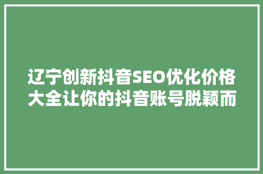 辽宁创新抖音SEO优化价格大全让你的抖音账号脱颖而出