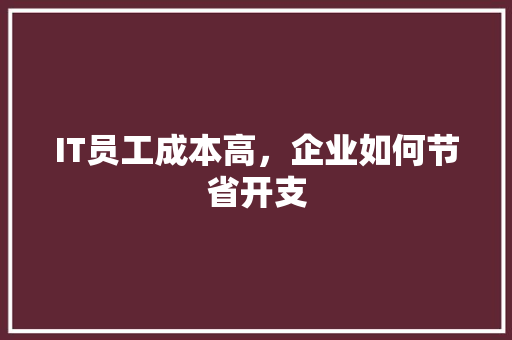 IT员工成本高，企业如何节省开支