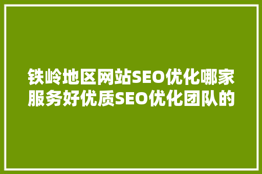 铁岭地区网站SEO优化哪家服务好优质SEO优化团队的选择标准
