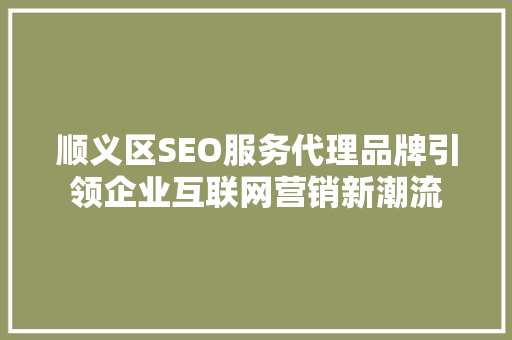 顺义区SEO服务代理品牌引领企业互联网营销新潮流