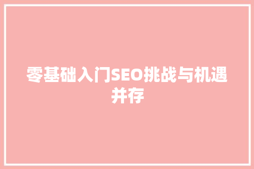 零基础入门SEO挑战与机遇并存