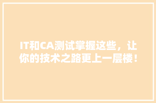 IT和CA测试掌握这些，让你的技术之路更上一层楼！ 项目报告