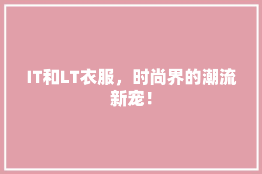 IT和LT衣服，时尚界的潮流新宠！ 项目报告