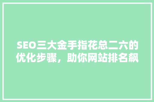 SEO三大金手指花总二六的优化步骤，助你网站排名飙升