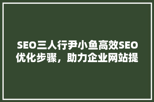SEO三人行尹小鱼高效SEO优化步骤，助力企业网站提升排名