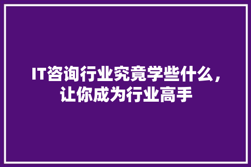 IT咨询行业究竟学些什么，让你成为行业高手 市场营销范文