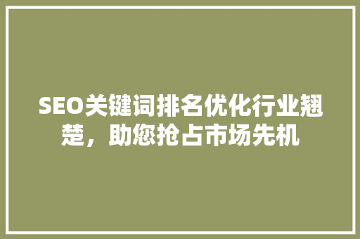 SEO关键词排名优化行业翘楚，助您抢占市场先机