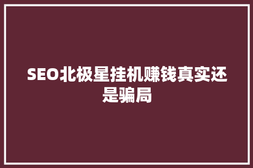SEO北极星挂机赚钱真实还是骗局