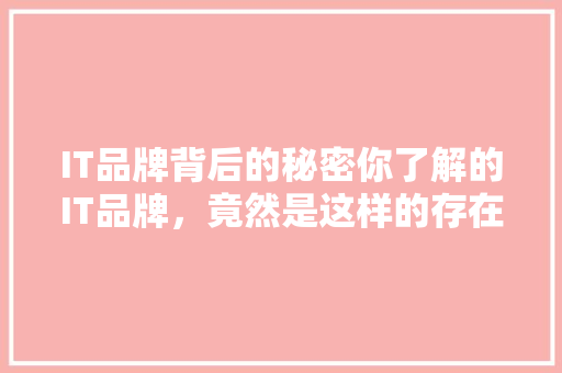 IT品牌背后的秘密你了解的IT品牌，竟然是这样的存在！ 市场营销范文