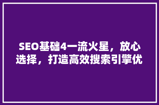 SEO基础4一流火星，放心选择，打造高效搜索引擎优化步骤