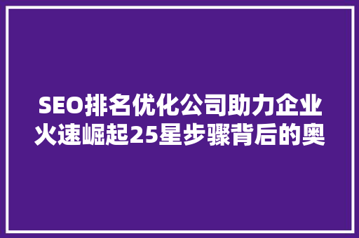 SEO排名优化公司助力企业火速崛起25星步骤背后的奥秘